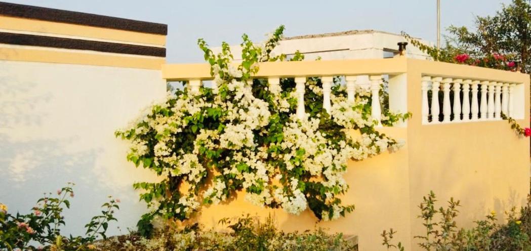 Royal Meadows - Igatpuri Bungalow B Buitenkant foto